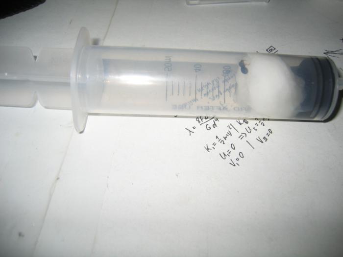 Мой первый муравей в шприце 50 мл