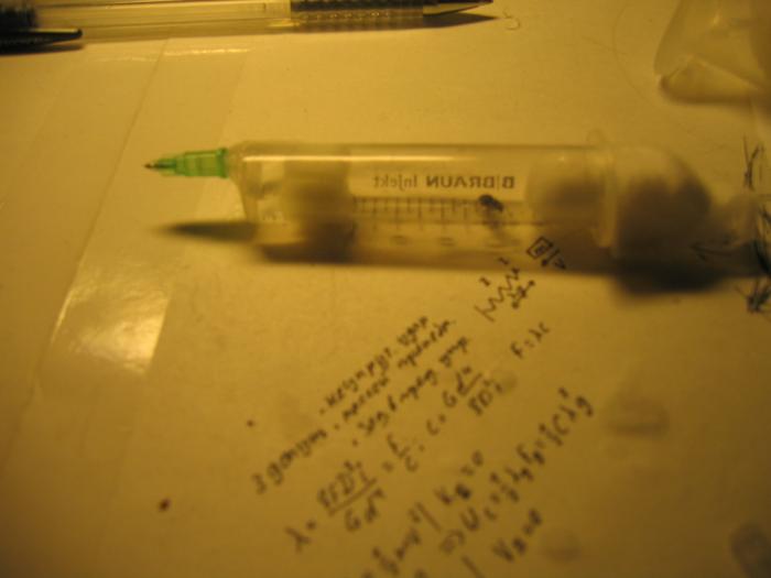 Мой первый муравей в шприце 10 мл