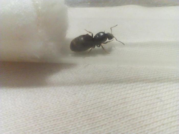 вот это попа 