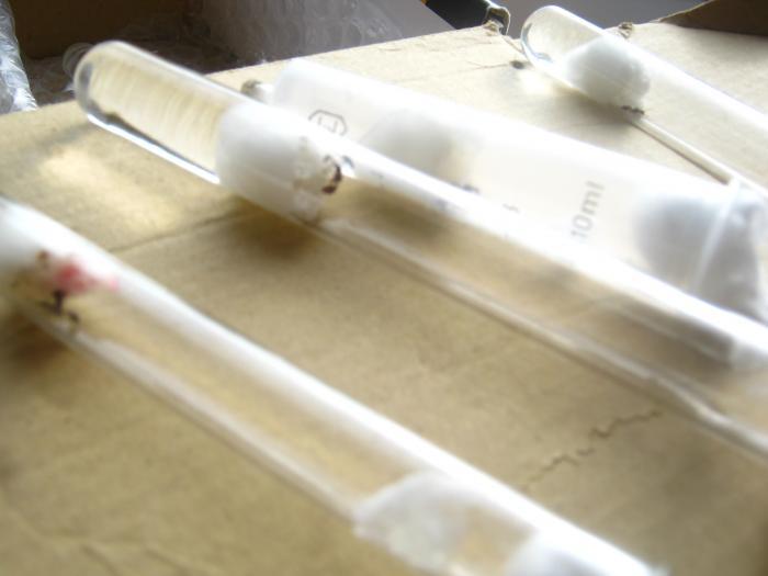 Вот они, все четыре.jpg