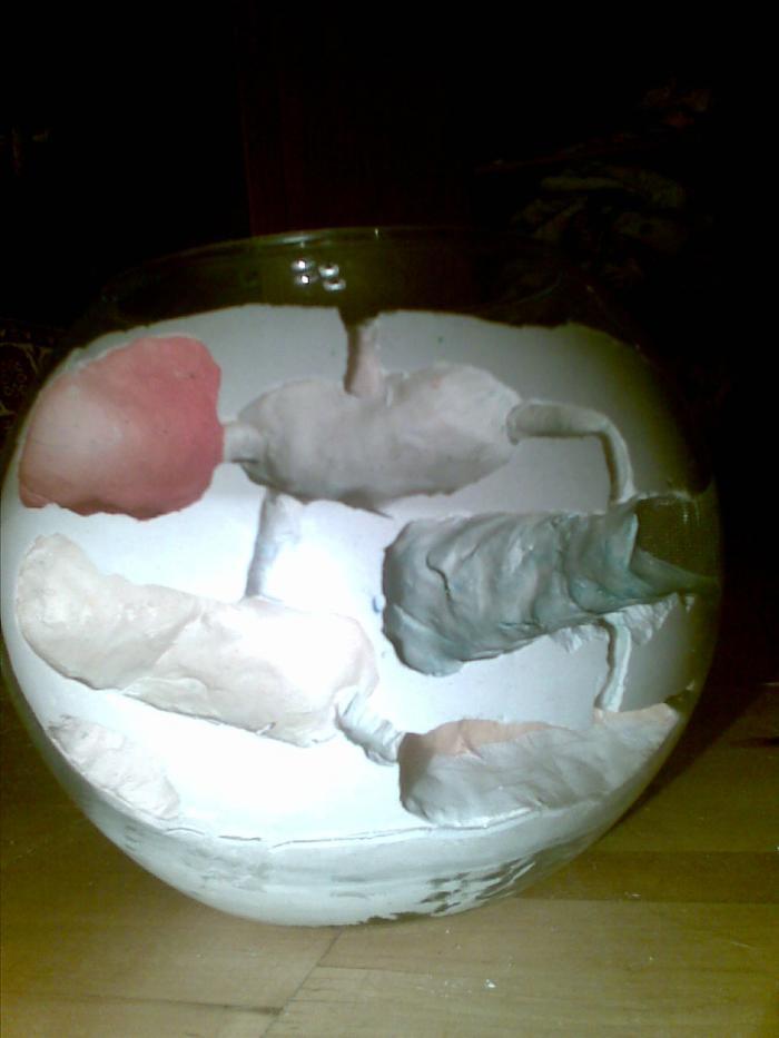 общий вид камер №2