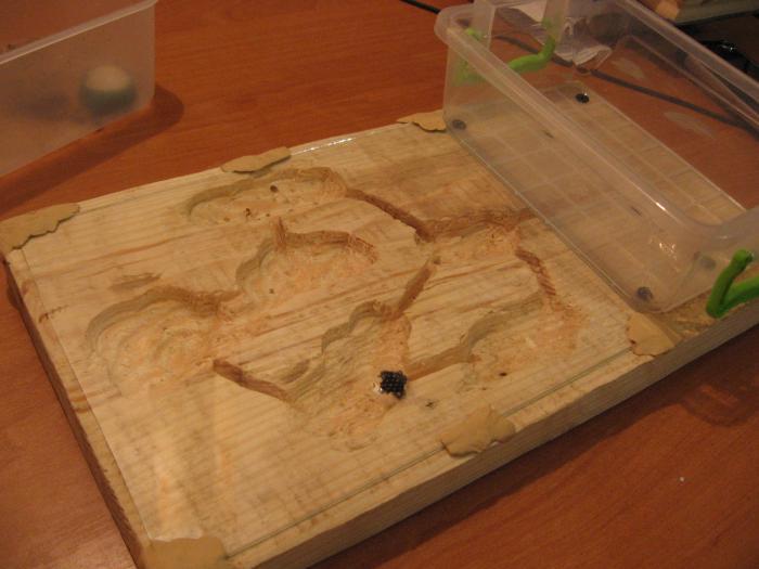 Пластелин это конечно не Айс по красоте, но зато безвредно. Купил силикон, но по