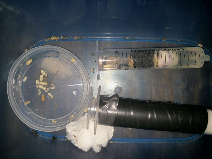 В верхний они проживают, нижняя на всякий случай,