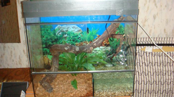 вот так вот он выглядит ещё не заселённый так называемая проверка оборудования ,