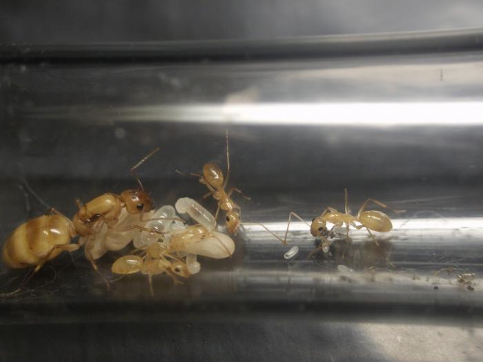 Фото семьи на сегодня, 23.04.14