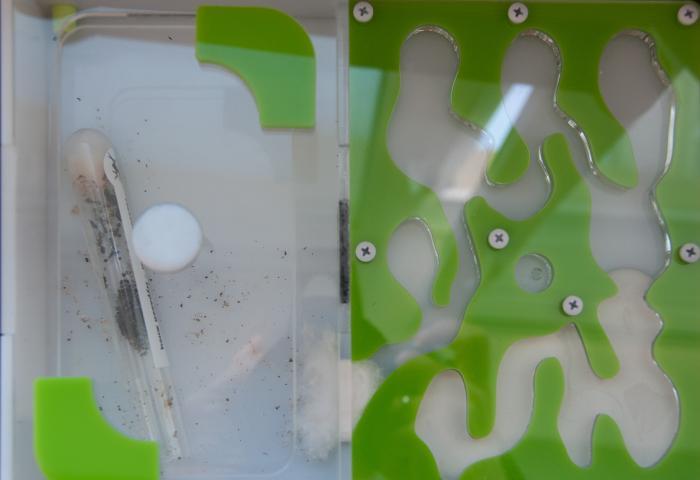 Общий вид формикария