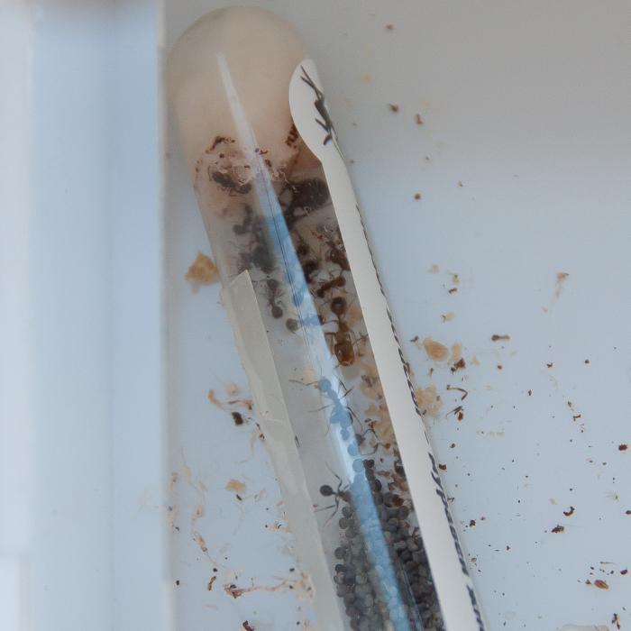 В центре фотографии - новорожденный солдат