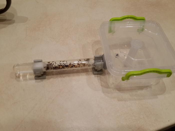 арена для пробирки