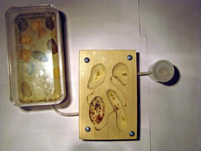 Полный вид конструкции