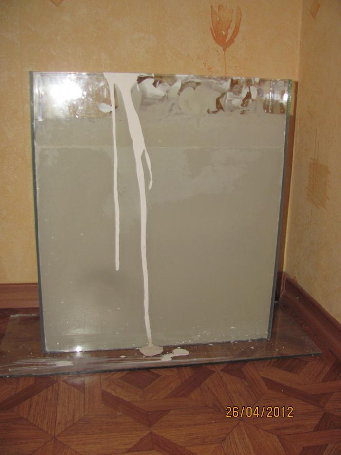 Муравьи в домашних условиях.