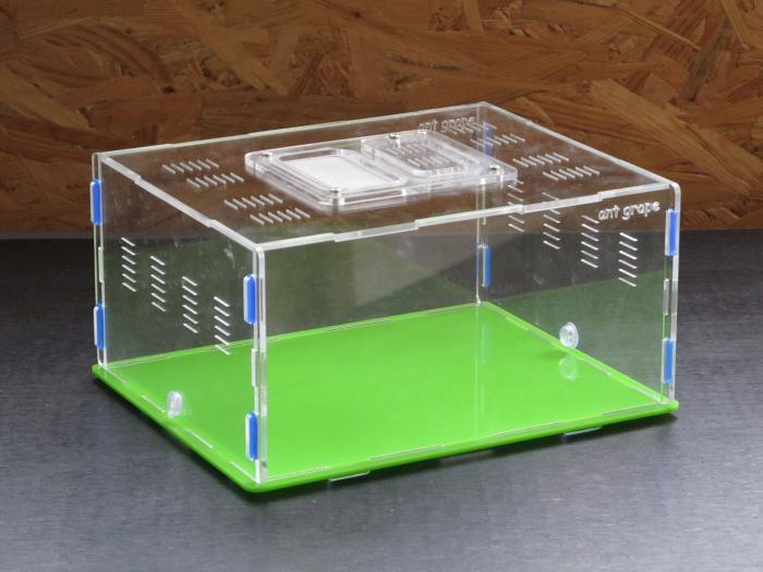 Арена 240мм х 170мм х 110мм.