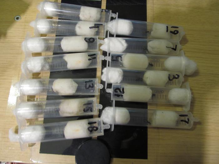 Инкубаторы с матками нигеров.