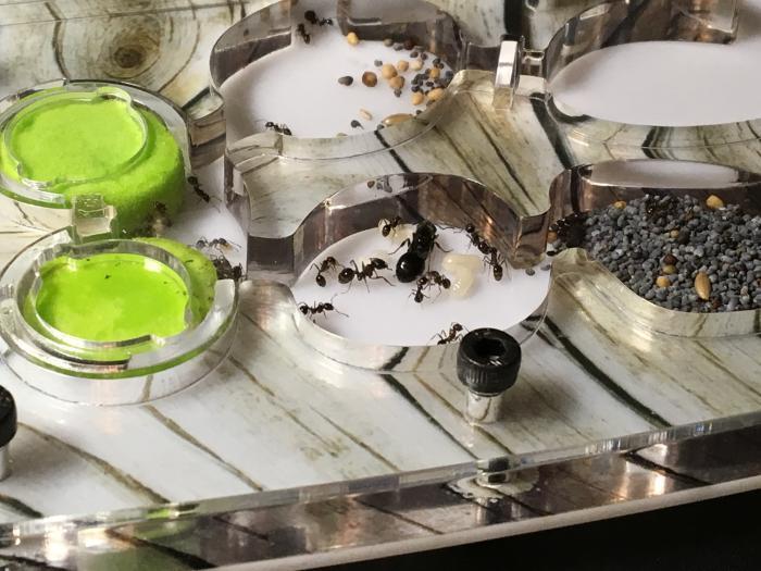 Общее положение дел