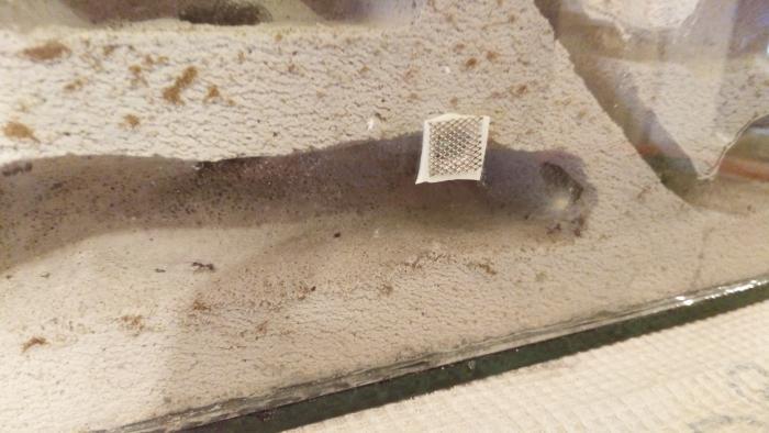 Кусочек металлической сетки на двухсторонней липкой ленте