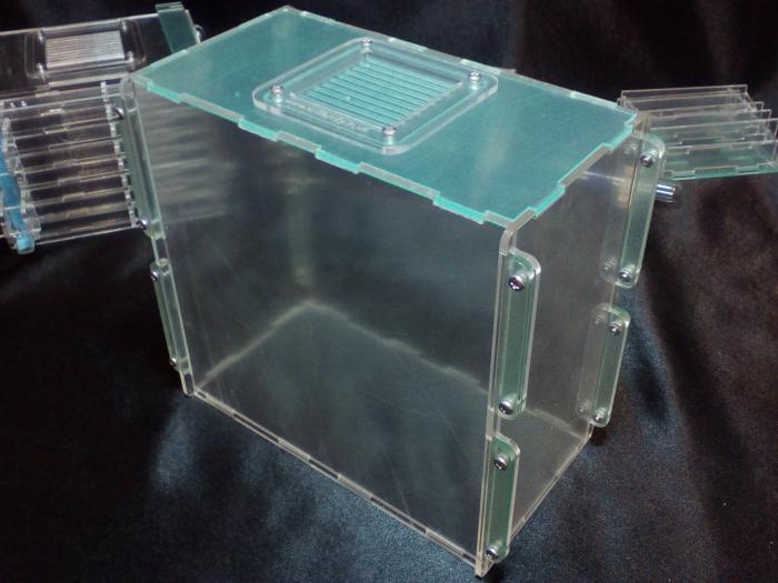 Заготовка для будущего формикария