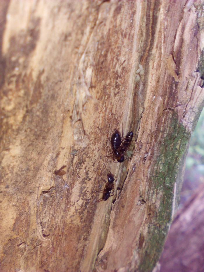 2й неизвестный 