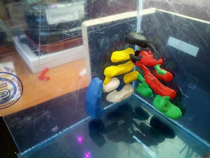 Модель камер изнутри