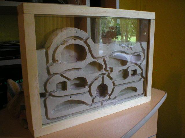 Мой первый формикарий 