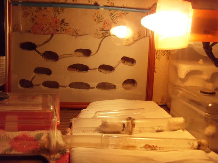 вот так мы и живём)))