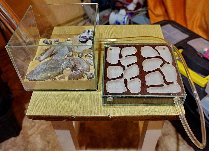 Арена и гнездо