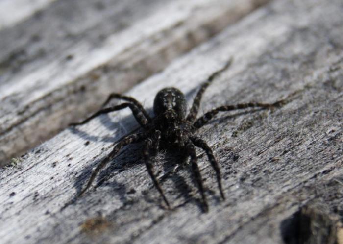 Вот он взгляд из другого мира