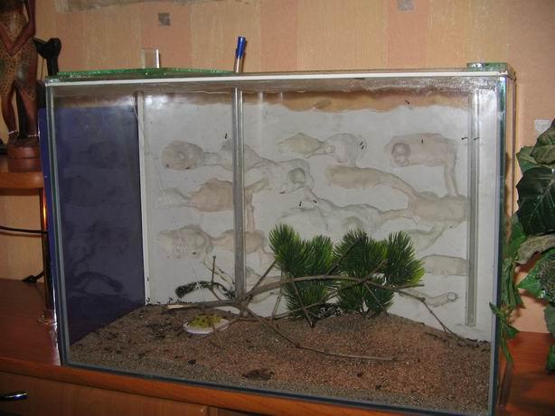 Формикарий для руф