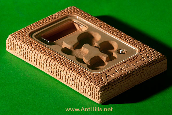 IMG_7406a_small copy.jpg