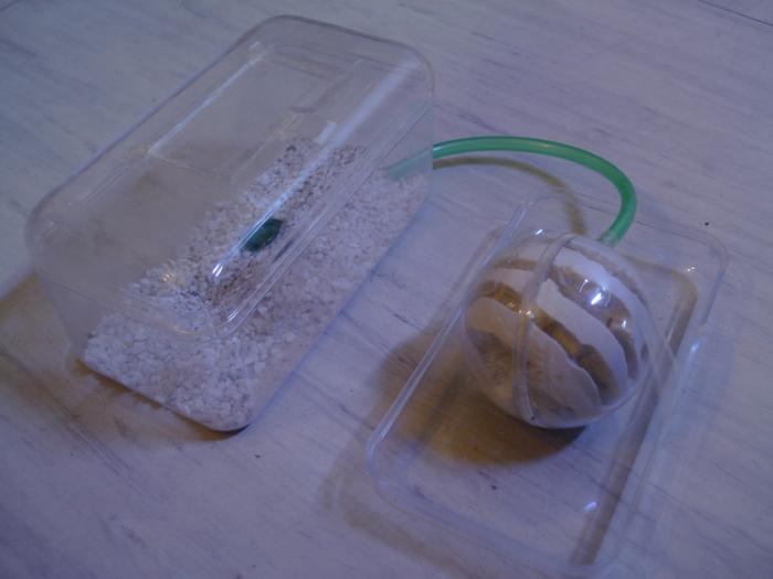 Общий вид с ареной