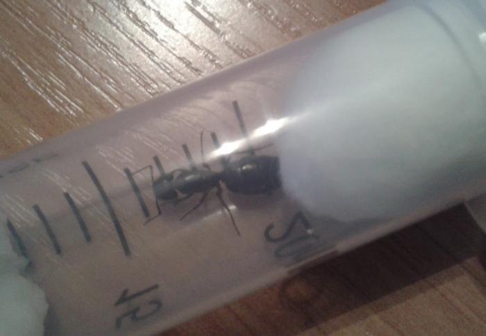 2013-08-02 05.02.39.jpg