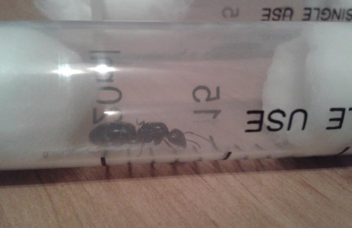 2013-08-02 05.04.35.jpg