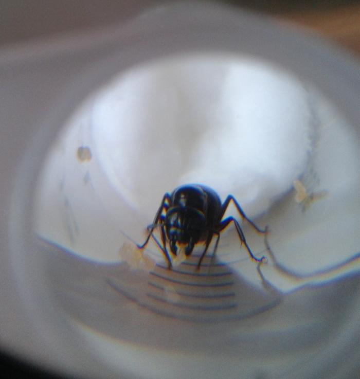 2013-08-02 17.34.44.jpg