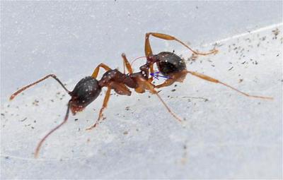 middle_1151221749 (1)_0.jpg