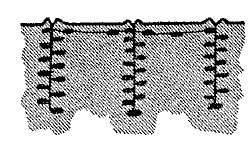 деÑновÑй мÑÑавей.jpg
