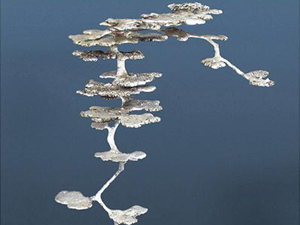 pogonomyrmex badius.jpg