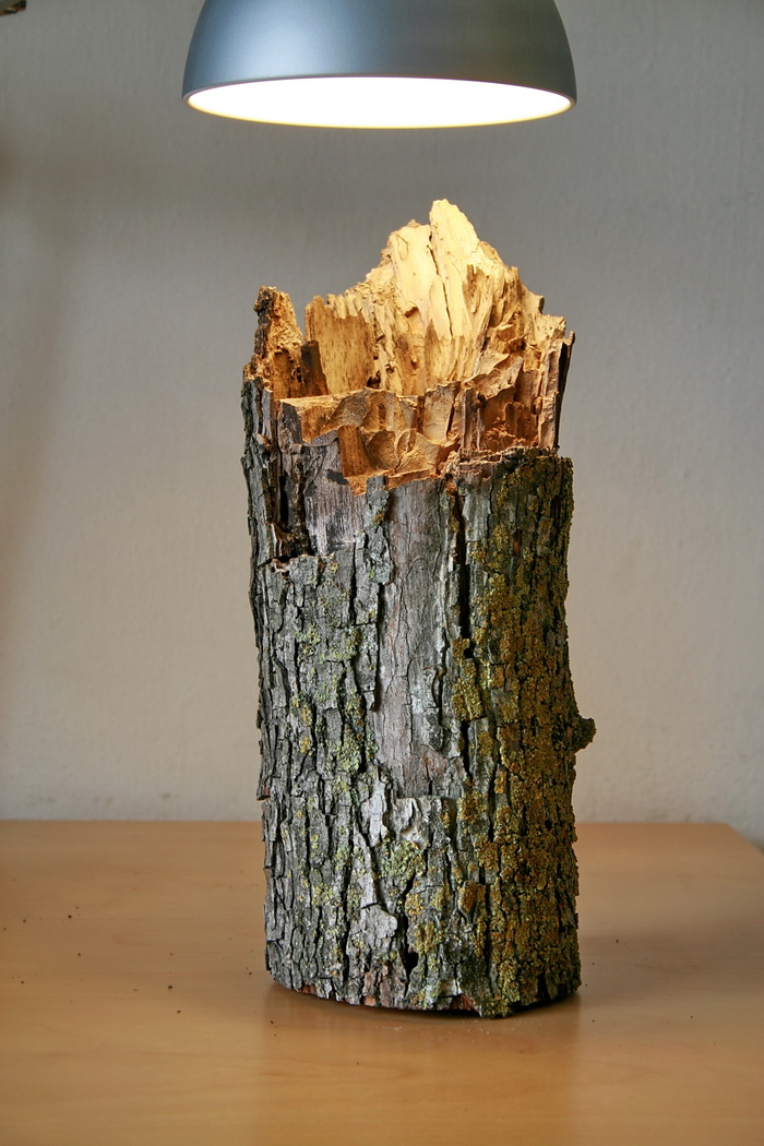 Wood Camponotus 17.jpg