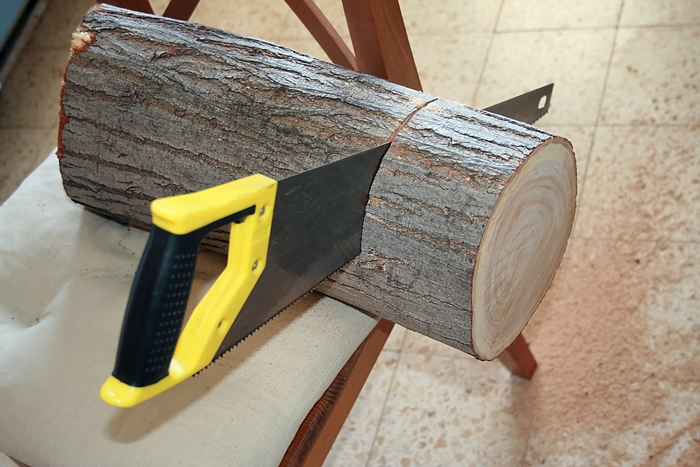 Wood Camponotus 2 2.JPG