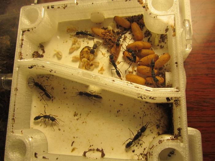 IMG_0046 â ÐºÐ¾Ð¿Ð¸Ñ.JPG