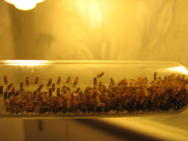 IMG_0589 - ÐºÐ¾Ð¿Ð¸Ñ.JPG