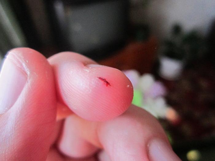 IMG_0693 - ÐºÐ¾Ð¿Ð¸Ñ.JPG