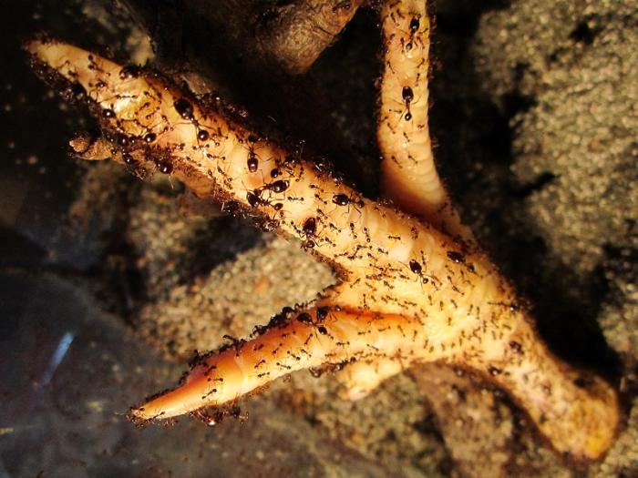 IMG_0734 - ÐºÐ¾Ð¿Ð¸Ñ.JPG