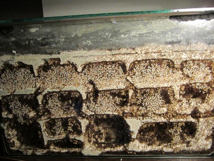 IMG_0883 - ÐºÐ¾Ð¿Ð¸Ñ.JPG