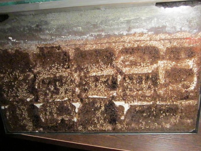 IMG_1074 - ÐºÐ¾Ð¿Ð¸Ñ.JPG