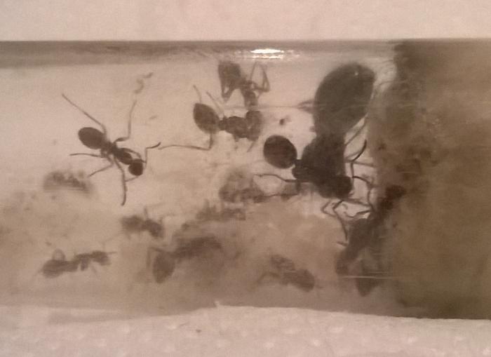 2014-05-13 22-48-24.JPG