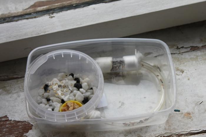 домик нигеров