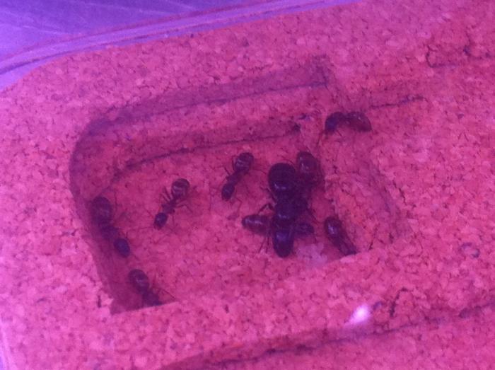 Жилая камера