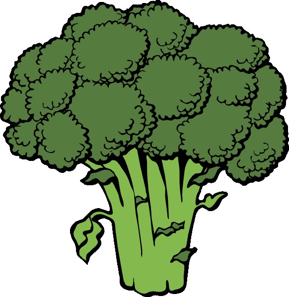 1245695163592167037johnny_automatic_broccoli.svg_.hi_.jpg