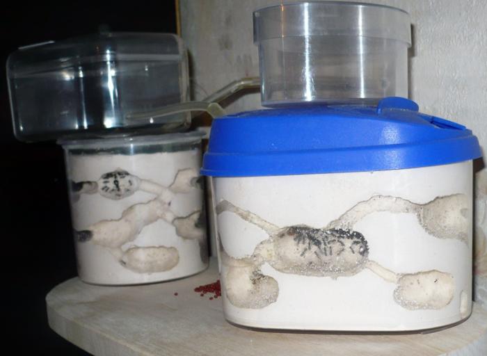 сейчас дела примерно так