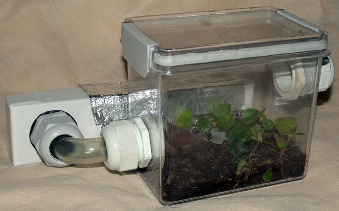 вид со стороны арены