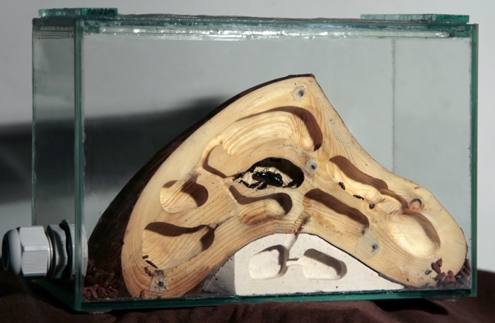 вид спереди