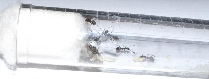 Рабочая обстановка